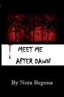 Meet me after Dawn: When desire is too strong by Nora Begona (English) Paperback