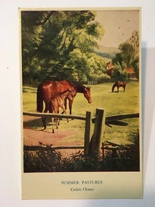 Summer Pastures Cedric Chater Horse Postcard - Picture 1 of 2