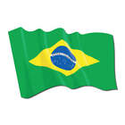 3M Scotchlite Reflective Waving Brazilian Flag Decal