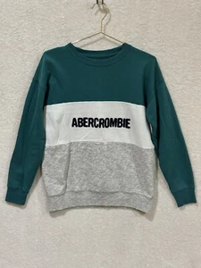 Abercrombie & Fitch Kids 15/16 Color Block Pullover Logo Sweatshirt Spell-out - Picture 1 of 6
