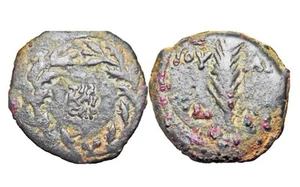 Valerius Gratus (15-26 CE). Judaea, Procurators. Æ Prutah . - Picture 1 of 1