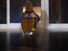 amarige givenchy fragrantica