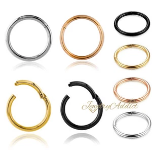 Titanium Seamless Segment Clicker Septum Nose Ring Piercing Hoop Hinged Sleepers - Picture 1 of 29