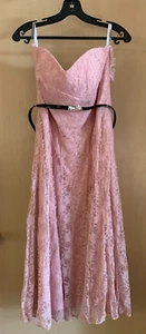 *NWT* Gather & Gown size 14 Rose Pink Strapless Below Knee Lace Formal Dress - Picture 1 of 14