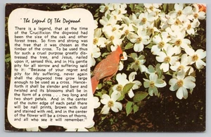 Legende vom Hartriegel religiöser Vers Kardinal Blumen um 1960 Postkarte - Bild 1 von 2