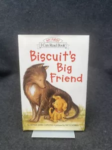 Biscuits Big Friend - Foto 1 di 1