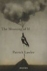 THE MEANING OF IF By Patrick Lawler **Mint Condition**