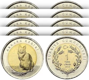 Turkey 1 Lira 2015 Ankara Angora Cat, 5 PCS LOT, Commemorative Bimetal UNC Coin - Picture 1 of 4