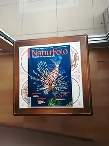 NaturFoto Januar 2024!!! BRANDNEU!!! - Bild 1 von 1