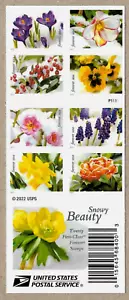 SELLOS NEVADOS BELLEZA 20 USPS FOREVER #5445-5454 FLORES DE INVIERNO PANEL DE ESTAMPILLAS DE 2 CARAS - Imagen 1 de 3