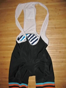 CHAMP-SYS Cycle BIB Shorts BICYCLE Size LARGE Polyester Spandex TEAM WINDED - Picture 1 of 3
