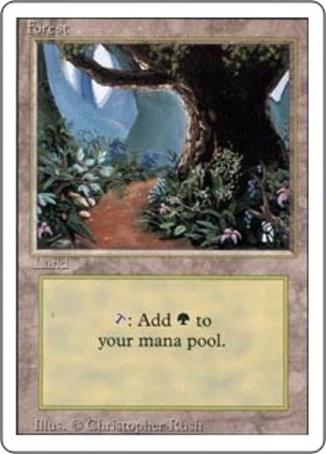 Forest (Path) - Revised Edition # MTG Magic The Gathering - Image 1 of 1