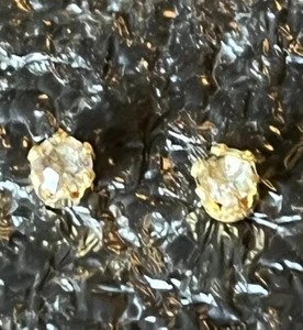 Pierced Earrings. Unknown Metal And Or Stones Beautiful Stones. - Picture 1 of 3