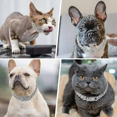 Luxury Diamond Cuban Chain Pet Collar Silver Plated Necklace Dog Cat Kitten Pup - Image 1 of 4