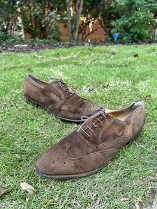 Ferragamo Brown Suede Wingtip Mens Shoes 10.5 D - Picture 1 of 12
