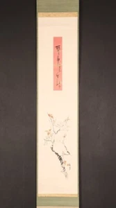 dr2732 Hanging Scroll "Cherry Blossoms" by Suma Taisui - Picture 1 of 11