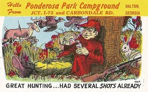 Cartolina GA Dalton Ponderosa Park Campeggio Grande Caccia Anni 70 Hunor Nr MINT - Foto 1 di 1