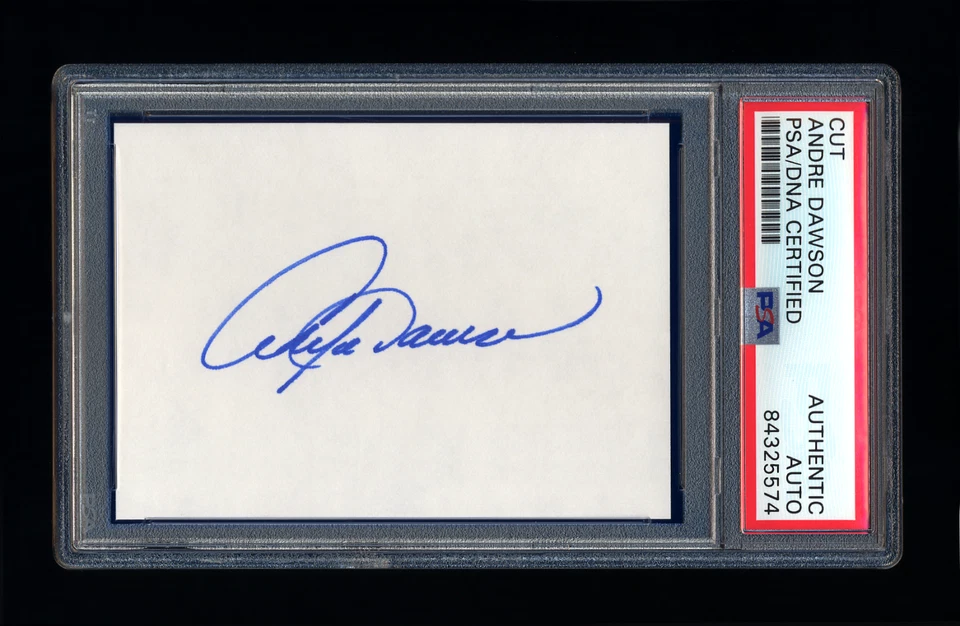 ANDRE DAWSON SIGNED MINT CUT PSA/DNA SLABBED AUTOGRAPHED HOF CHICAGO CUBS EXPOS  - Image 1 of 1