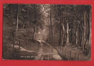 BERKSHIRE. READING THE GLARE BEECH pu SPENCERS WOOD 1907 - Picture 1 of 1