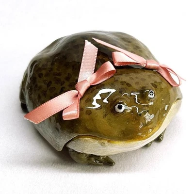 For Airpods 4 / Airpods Pro3 Ugly Frog Earphone Case Handcrafted *