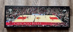 NBA Chicago Bulls United Center Wall Canvas Photo 30 X 10 - Picture 1 of 13
