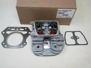 Genuine Kawasaki 11008-6043 Heads with Valve Kit #1 FH451V FH500V FH531V FH541V - Picture 1 of 6