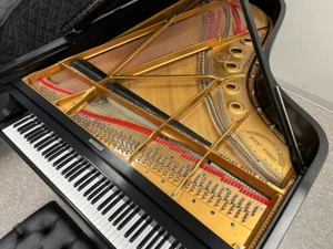 Total Restoration - Turn-key STEINWAY & SONS Model B 6'11" grand piano - Picture 1 of 8