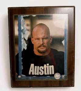 WWE WWF STONE COLD STEVE AUSTIN Photo Carnival Fair Prize 8"x10" Framed Vintage - Picture 1 of 14