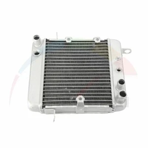 New Engine Cooling Radiator Cooler For Honda PS250 Big Ruckus 2006 19010-KTB-003 - Picture 1 of 5