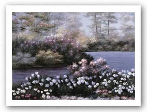 Blooming Isle Diane Romanello Landscape Art Print 7x5 - Picture 1 of 1