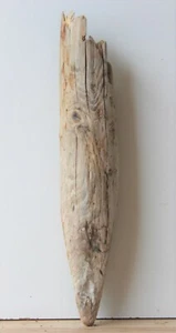 Treibholz Schwemmholz  Driftwood 1 kl  Stamm Terrarium Dekoration Garten 43 cm  - Bild 1 von 12