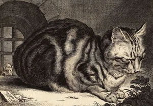 Sleeping Cat & Creeping Mouse by Cornelis Visscher. New cards of 17c Dutch print - Imagen 1 de 2