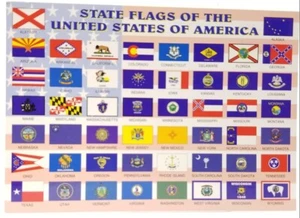 50 State Flags Of The United States Of America Printed Unused Postcard - Picture 1 of 2