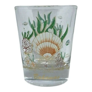 Seashell Corals Star Fish Bahamas Shot Glass 2 1/4" tall - Imagen 1 de 6