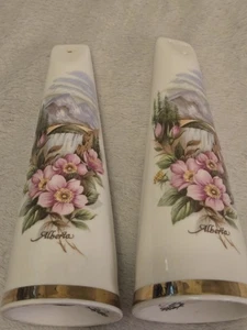 Sandford Fine Bone China Alberta  Violets Tall Salt & Pepper Shakers England  - Picture 1 of 7