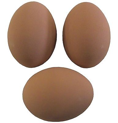 3 Pack Brown Ceramic Dummy Chicken Nesting Nest Fake Training Egg Hatching Craft • 7.99$