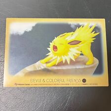 Eevee & Colorful Friends Pokemon Center Clear Card Limited   Jolteon 1/7