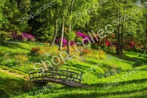 Photo JPG background image Nature painting is crossed by a small wooden bridg - Picture 1 of 1