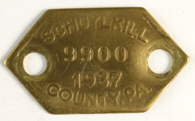 1937 年黄铜形狗税牌许可证 # 9900 Schuylkill 宾夕法尼亚州组织 — 第 1/2 张图片