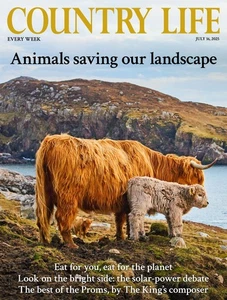 COUNTRY LIFE MAGAZINE 16 JULY 2025 ~ NEW ~ - Picture 1 of 1