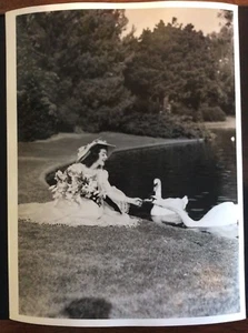 Beautiful Ann Rutherford With Swans Large Deluxe 10x13 Still Photo 1940s - Picture 1 of 2