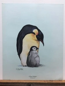 Harry Antis Always Underfoot Emperor Penguin & Chick Signed 1974 Art Print - Picture 1 of 1