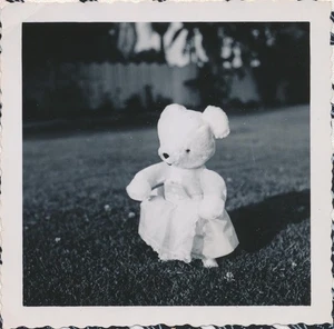 Snapshot Vintage Photo Weird Odd Unusual Cute Toy Teddy Bear Plush Dressed Up - Picture 1 of 7