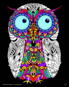 Owl - Large 16x20 Inch Fuzzy Velvet Coloring Poster - Picture 1 of 1