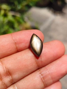 7.99 Cts A STUNNING NO HEAT BLACK STAR SAPPHIRE A RARE MARQUISE SHAPE OF SHARP ⭐ - Bild 1 von 8