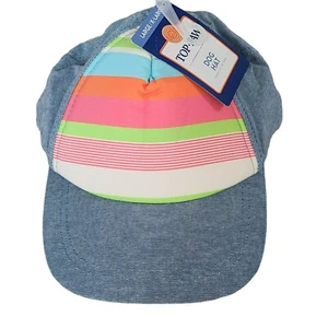 Nueva con etiquetas Top Paw LG/XL Gorra de béisbol Rayas Pasteles Azul Denim Banda Elástica Ajustable - Imagen 1 de 4