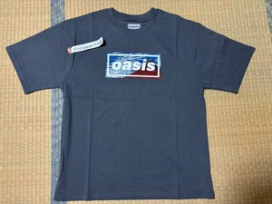 Oasis Merch Tokyo Live Tour 25 T-shirts (L) Mt. FUJI Gray 2 side Japan Limited - Picture 1 of 11
