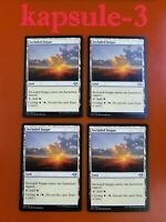 NM or Better MTG Magic Secluded Steppe Modern Horizons 