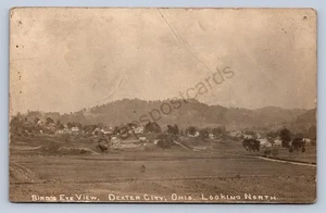 J87/ Dexter City Ohio RPPC Postcard c1910 Birdseye Store Caldwell 1853 - Picture 1 of 4