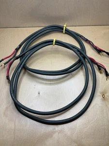 Pair of audioquest Type 6+ Spread Spectrum Hyperlitz Bi-Amp / Solid LGC Copper, - Picture 1 of 7